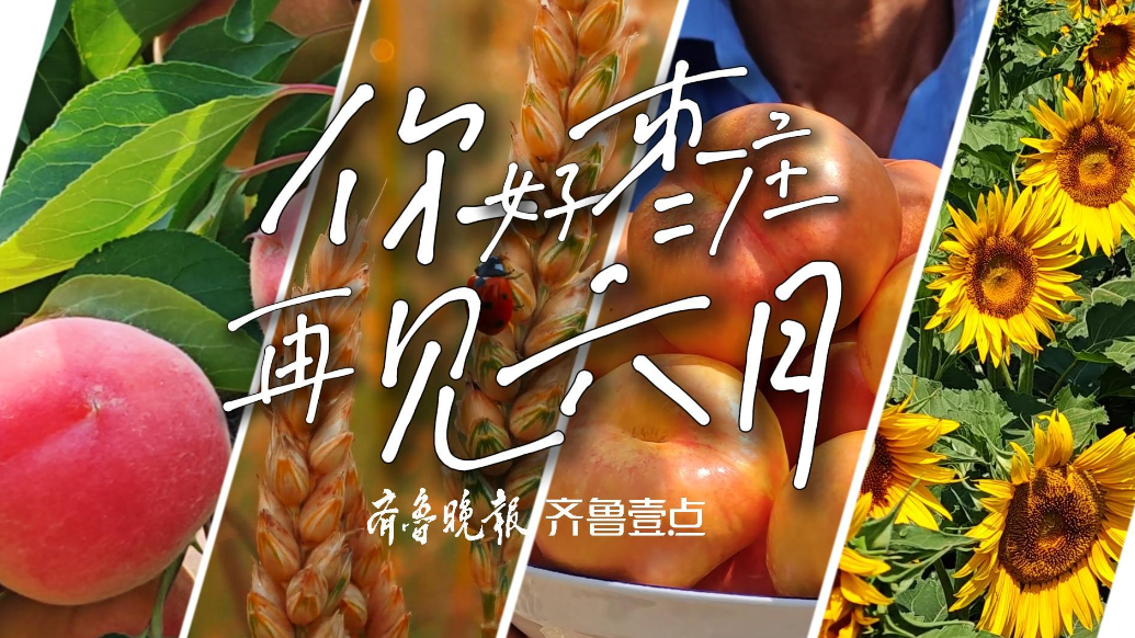 枣城夏日纪|你好枣庄！再见六月！