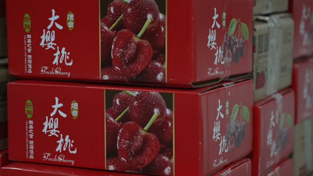 果然视频|收官！今年烟台机场“樱桃航班”班次和运输量均创纪录