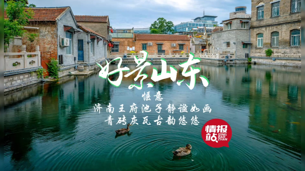 果然视频·好景山东|济南王府池子静谧如画，青砖灰瓦古韵悠悠
