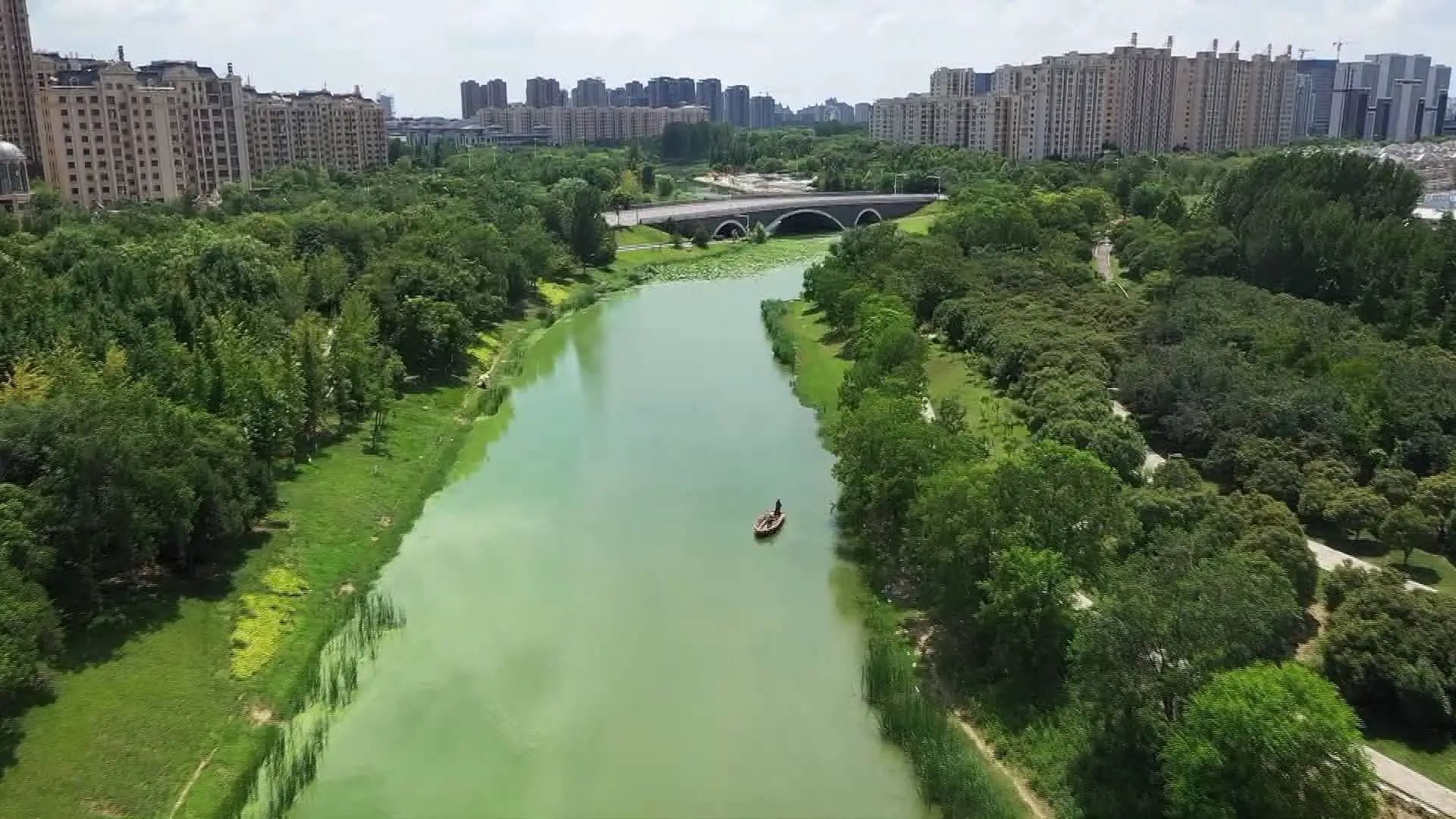 1320万㎡绿意盎然！济宁高新区精细管护刷新城市“颜值”