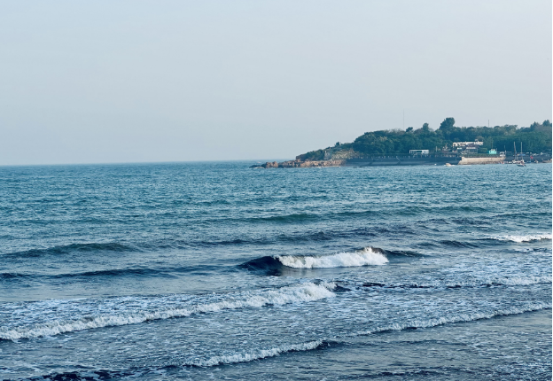 读城记|青岛的海