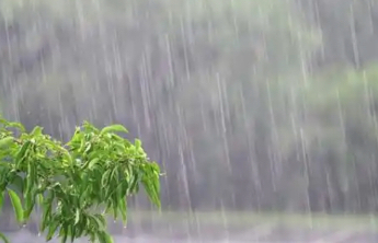 暴雨、山洪、渍涝等多预警齐发 这些地区风险较高