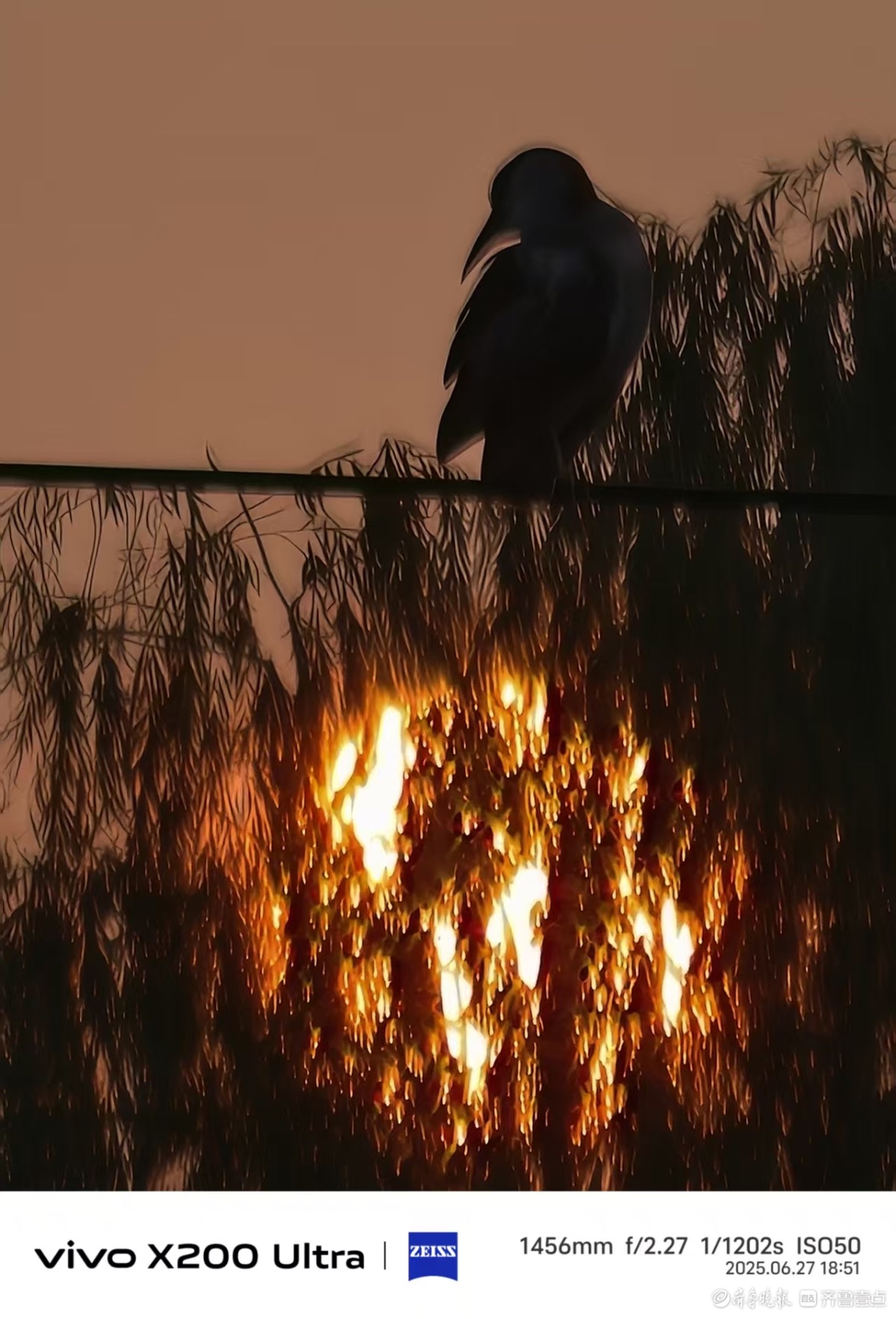 夕阳美景好时光，我在记录