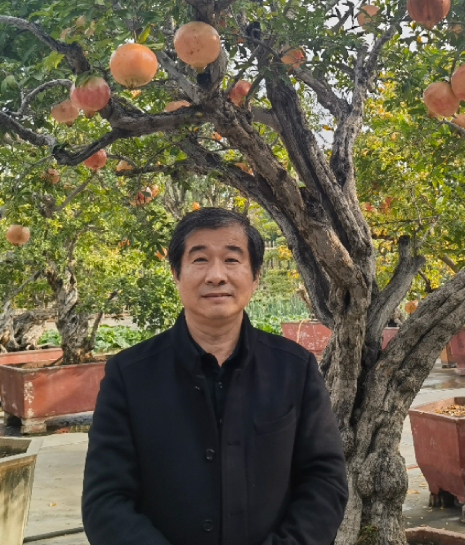 菏泽著名书画家推荐|高潭印