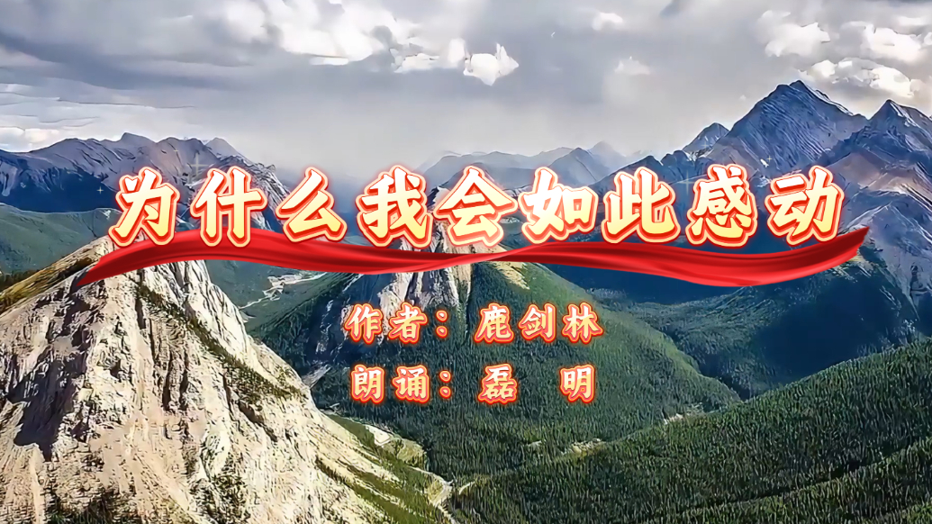 果然视频｜为什么我会如此感动