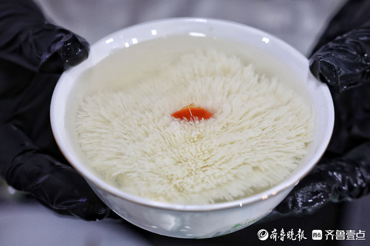 济南中考招生会火爆开场，特色专业现场展示很吸睛