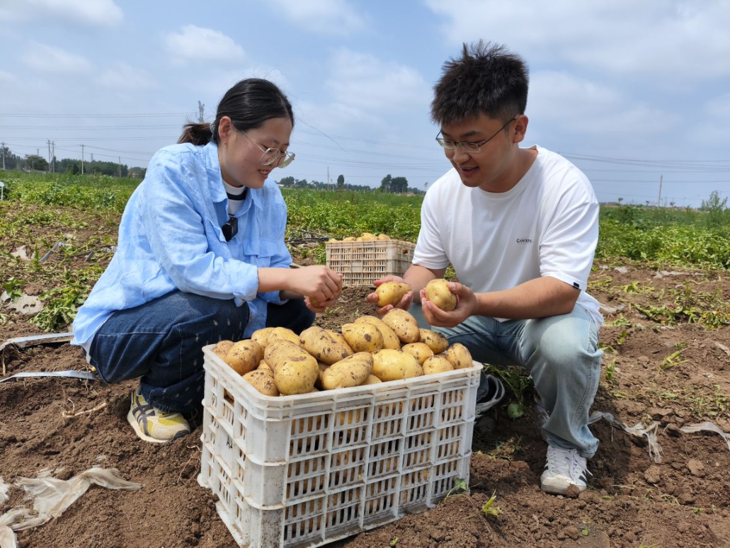 潍坊安丘“90后”新农人王雅茹：以青春为种 耕耘希望田野