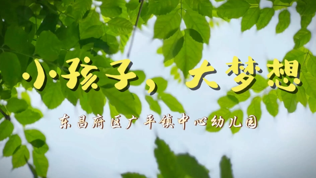 广平镇中心幼儿园：小孩子大梦想