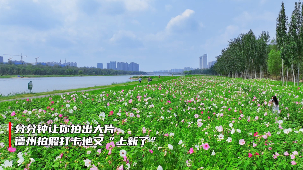 果然视频｜分分钟让你拍出大片！德州拍照打卡地又“上新了”