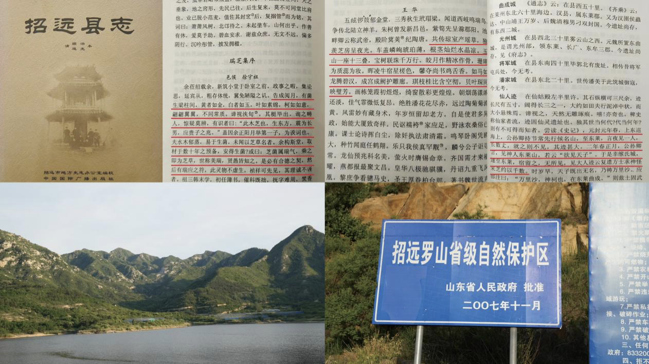 从祥瑞符号到健康引擎：喜蕈生物以有机智造推动灵芝产业创新升级