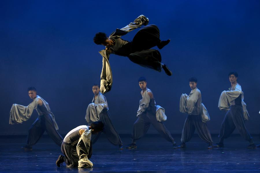 Chinese Kung Fu dance drama captivates Romanian audience