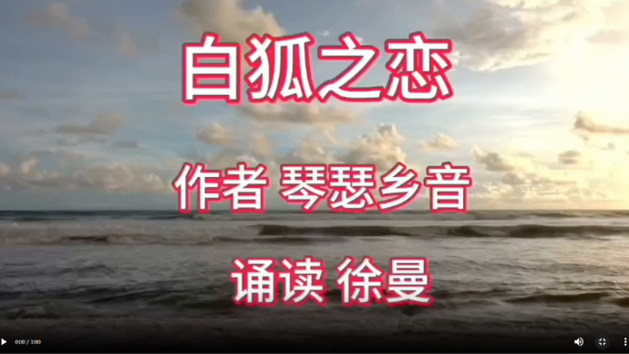 诗文诵读｜许曼：白狐之恋（作者：琴瑟乡音）