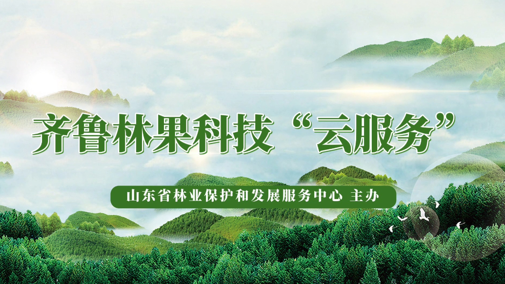 齐鲁林果科技“云服务”|石榴高效栽培技术
