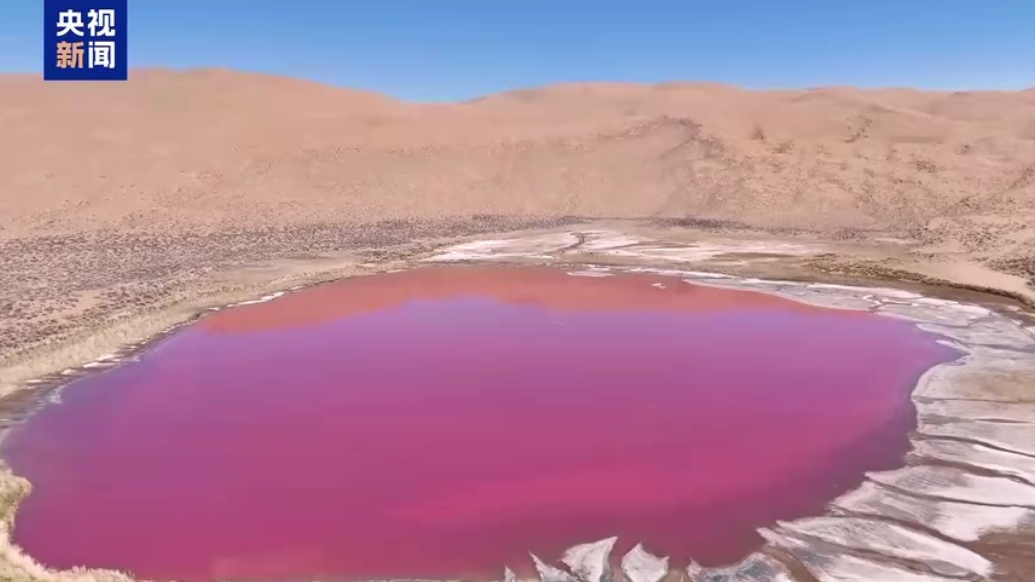 沙漠深处有童话般的“粉湖”，已到最佳观赏期
