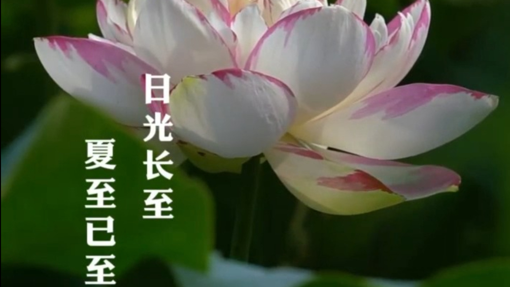 日光长至 夏至已至：二十四节气之夏至