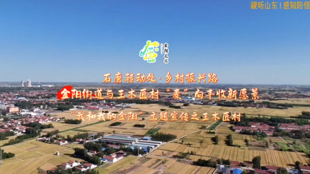 石墨转动乡村振兴：阳信县王木匠村“麦”向丰收新愿景