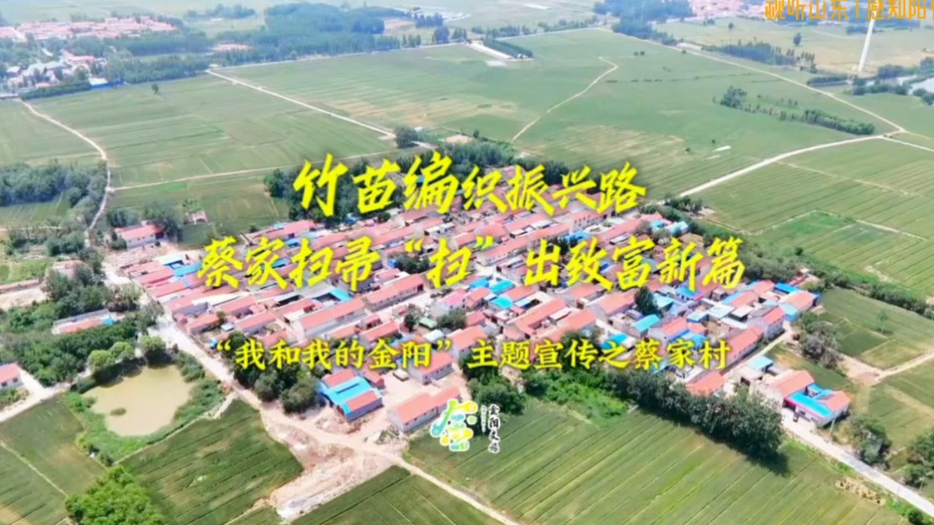 竹苗编织振兴路：蔡家扫帚“扫”出致富新篇章