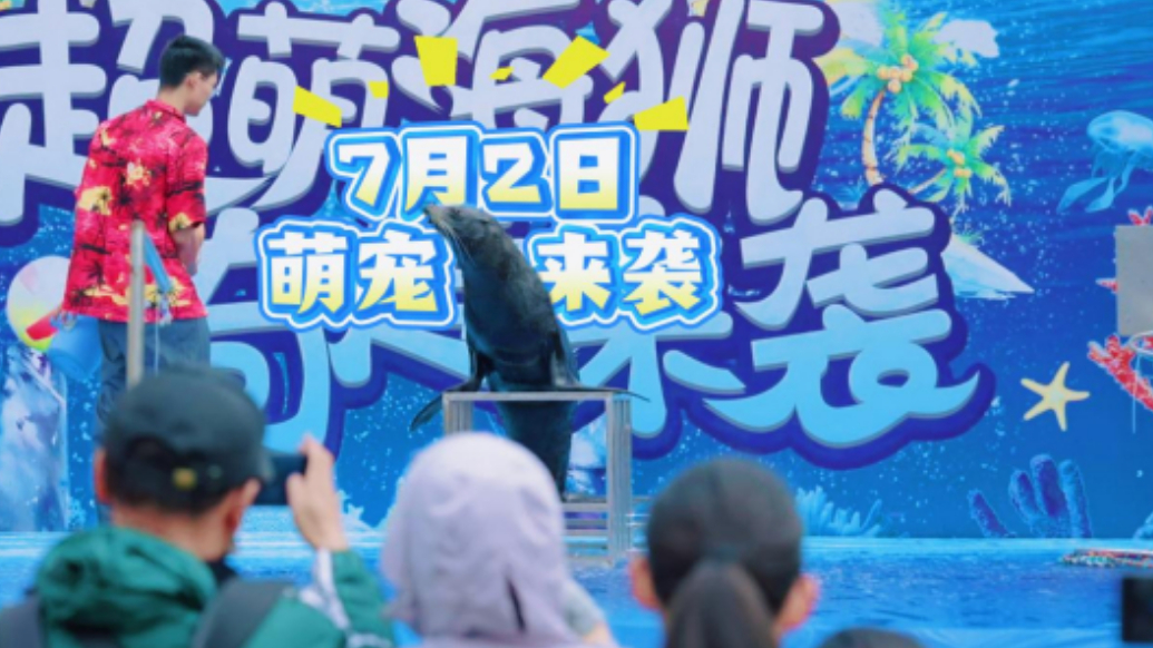 果然视频|来济宁方特看超萌海狮秀，亲子游玩好去处
