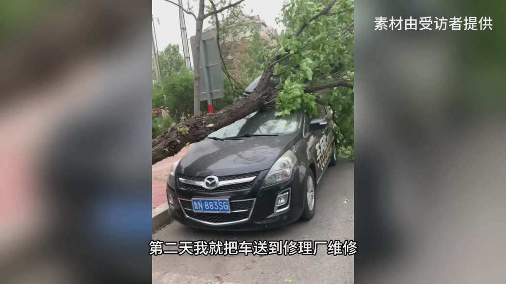 壹点帮办|德州车主遇大树砸车，车修好后迟迟无法提车，咋回事？
