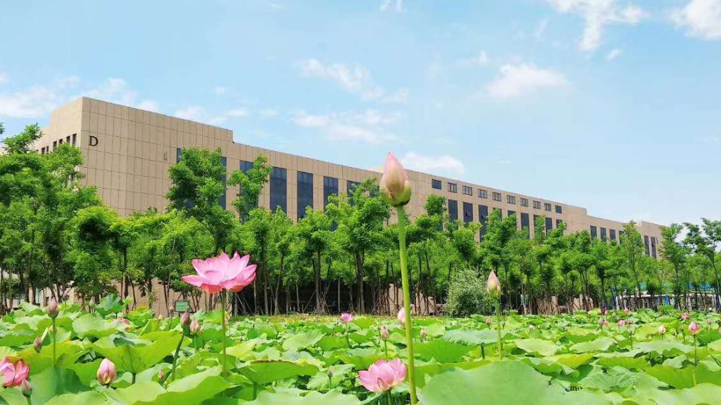 果然视频|东营职业学院2025年计划招生5800人