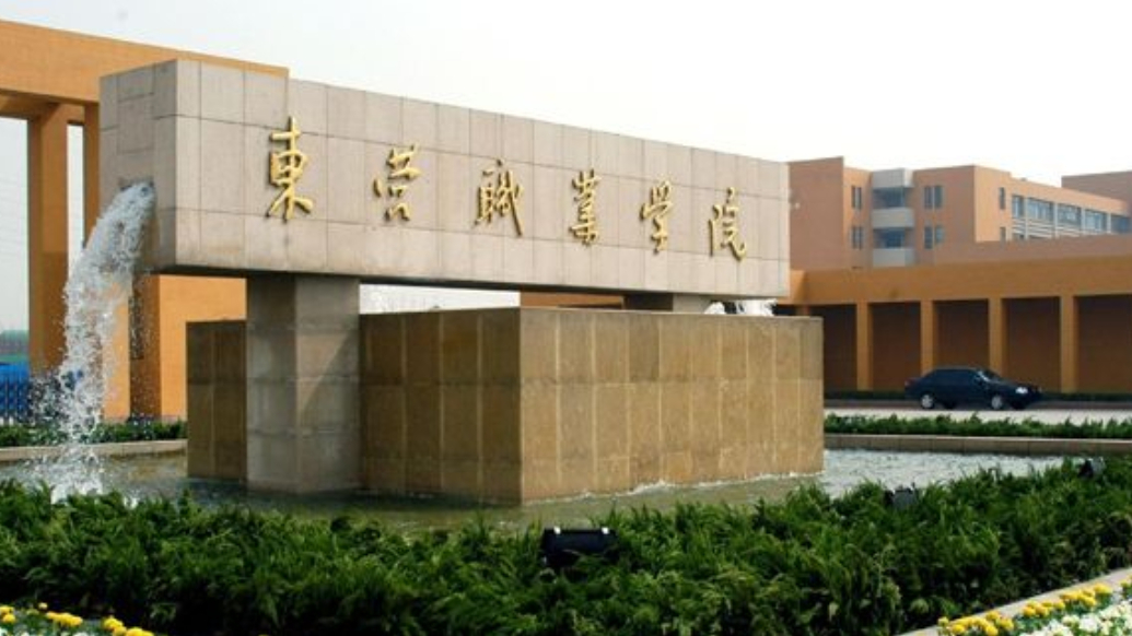 果然视频|东营职业学院“3+2”专本贯通专业达到7个