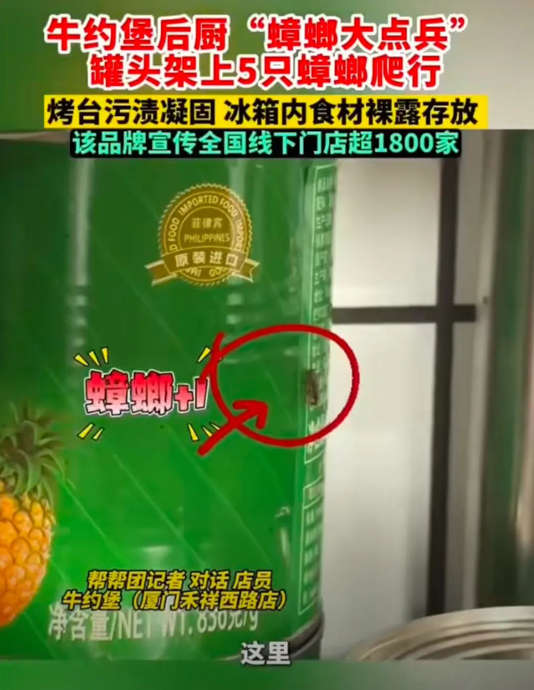 后厨成蟑螂窝，店员：“繁衍太快”！一知名餐饮连锁又出事