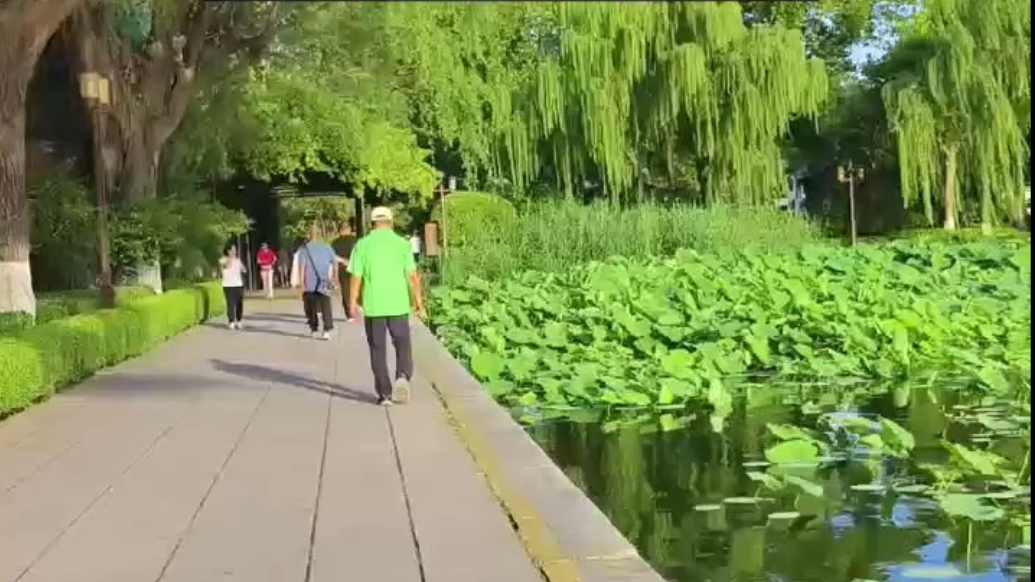 天气情报站|热热热！济南开启“蒸煮模式”，高温天气注意防暑