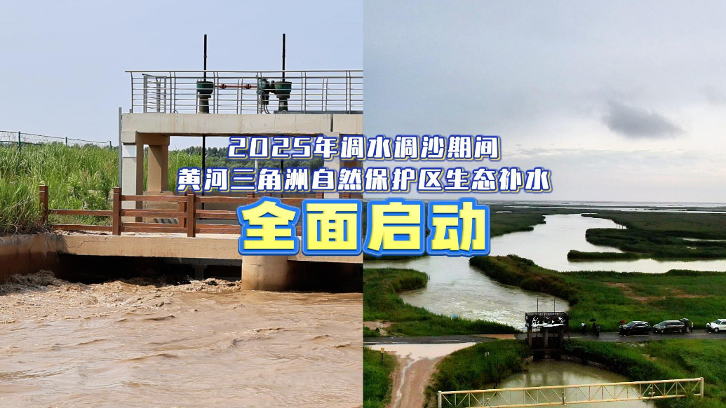 2025年黄河三角洲自然保护区生态补水全面启动