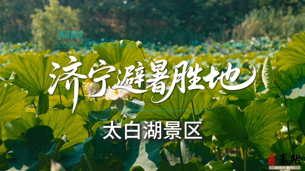 果然视频｜济宁避暑胜地——太白湖景区