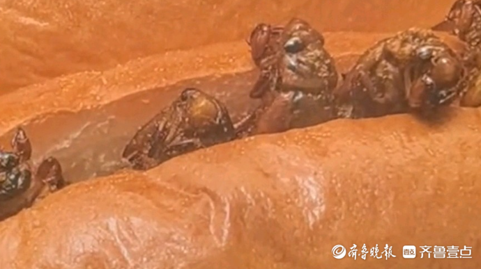 果然视频｜济宁一面包店推出“知了猴面包”，每个上面有8只，外撒烧烤料