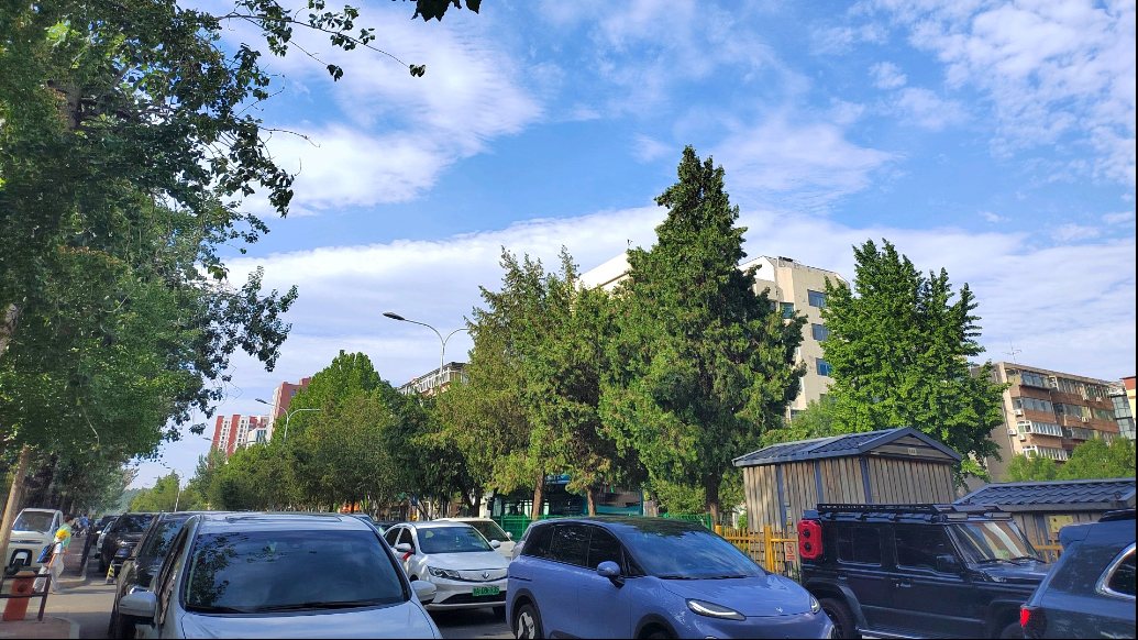 天气情报站|37℃！济南“热力全开”持续高温，走在路上像被烤