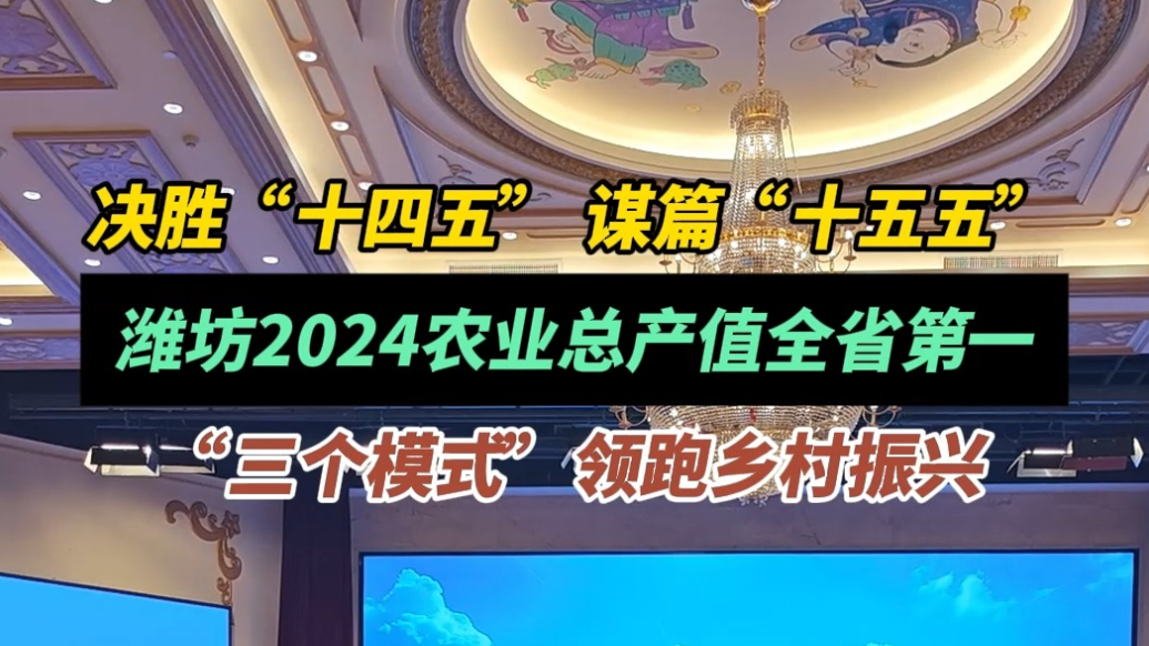 决胜“十四五” 谋篇“十五五”|潍坊去年农业总产值全省第一