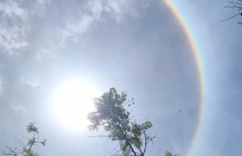 青岛平度42℃！97个站超37℃高温！山东“桑拿天”超长待机