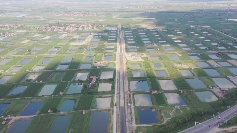 利津县：跨村联建“聚合力” 乡村振兴“加速跑”