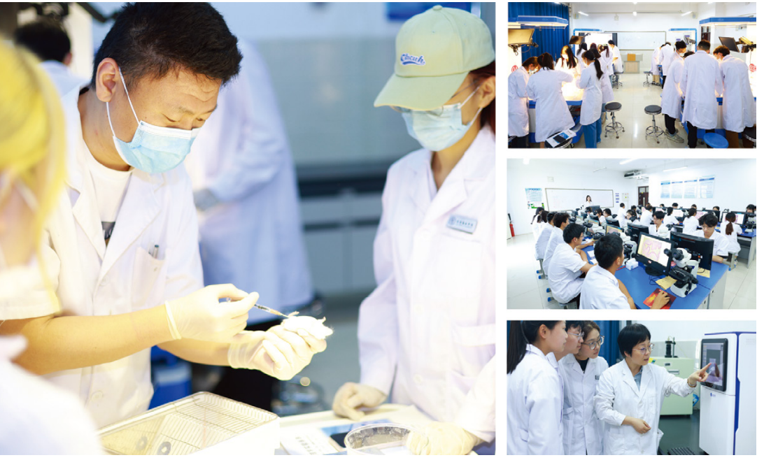 专业解码|齐鲁医药学院基础医学院：厚基强能 理实融通