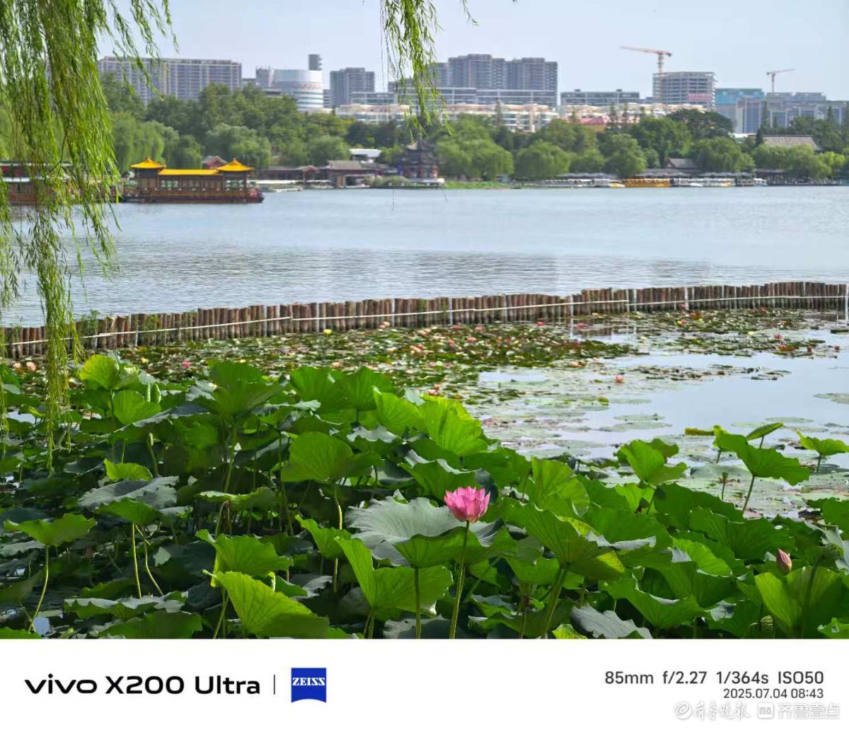 夏日随拍，我在记录