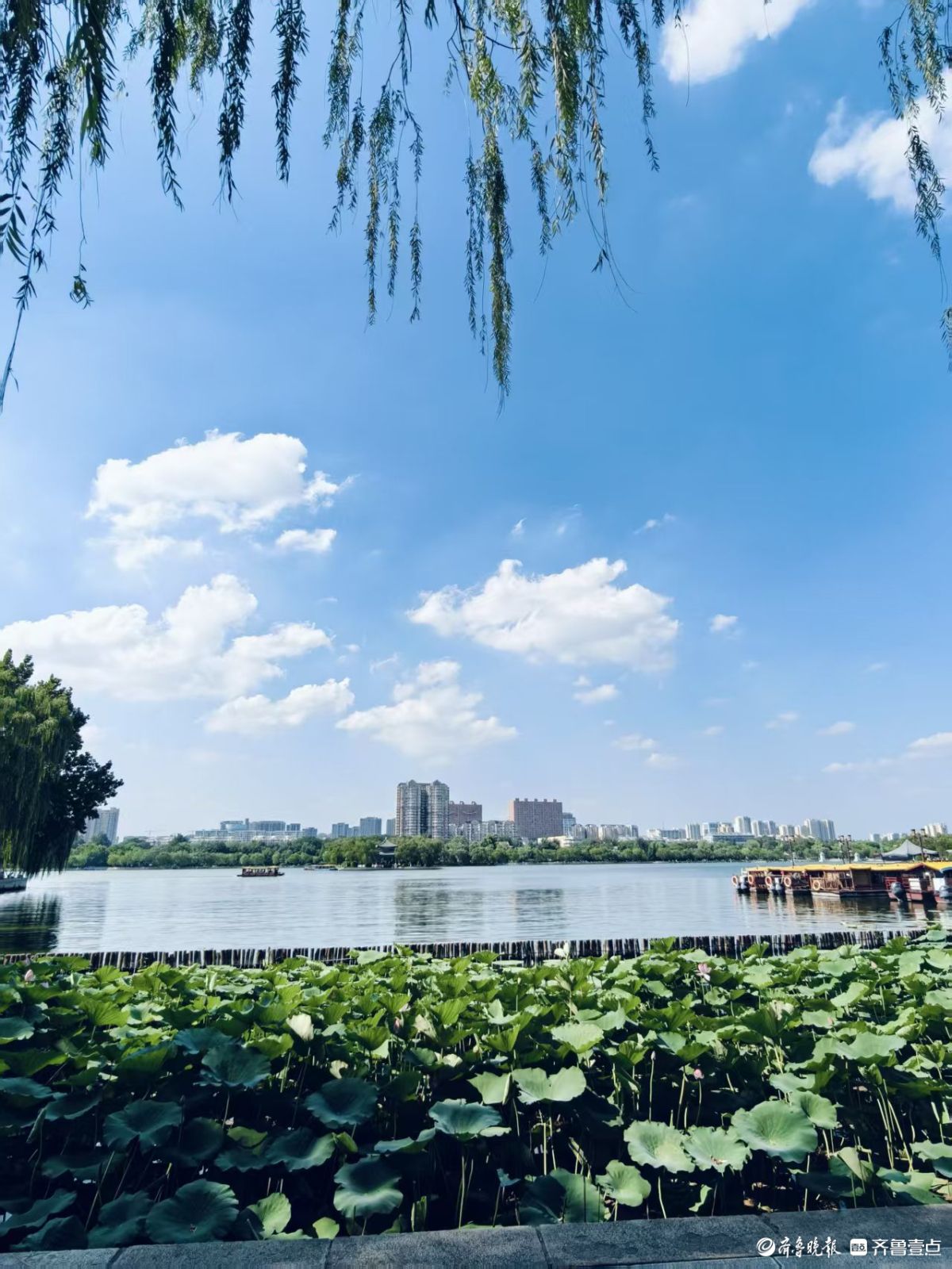 高温天气下的济南，蓝天白云风景不错