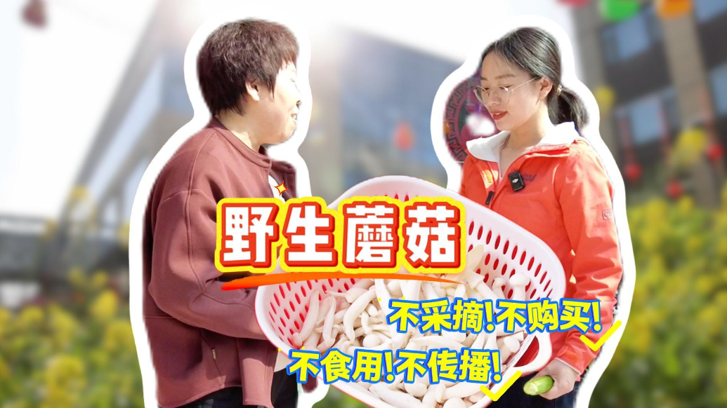 “采还是不采？”婆媳野菇之争，安全警钟再鸣！