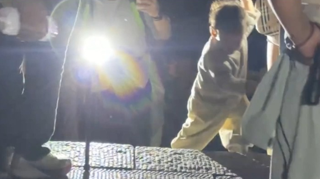果然视频｜路都走不稳却拿下泰山？倔强幼崽征服泰山！