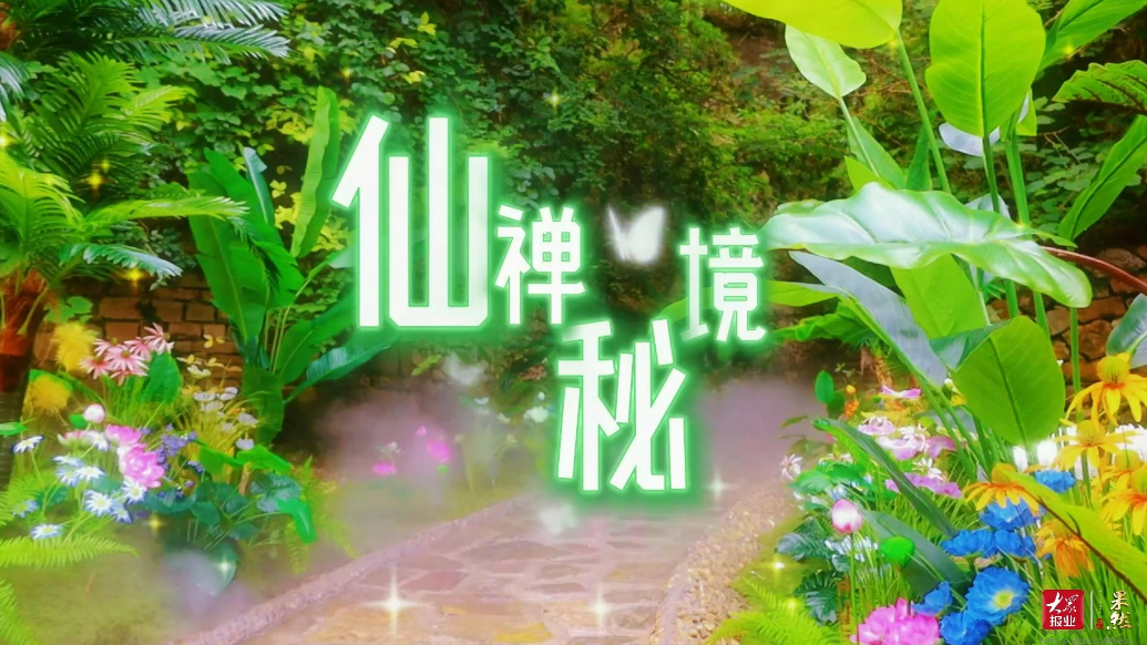 嗨FUN暑期·果然视频|灵岩寺上新，21℃避暑秘境正式启幕