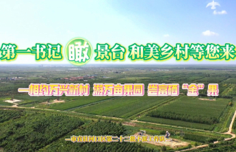 第一书记“瞰”景台第三期：走进河口区新户镇万兴新村