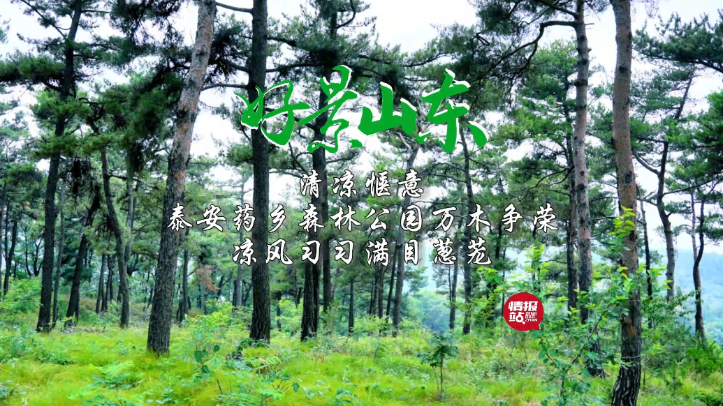 果然视频·好景山东|泰安药乡森林公园公园清凉惬意，避暑好去处