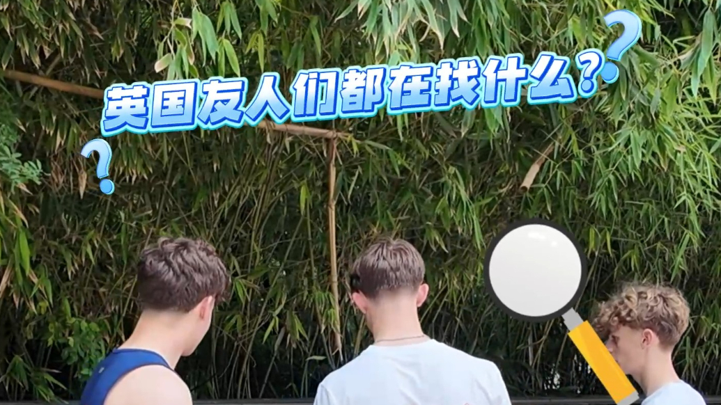 果然视频|英国友人们都在找什么？原来是......