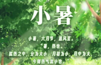 【小暑】赤日小暑，晒物藏鲜