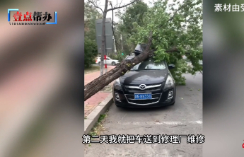 7月7日最佳情报|车主遇大树砸车修好后却无法提车！记者帮解决