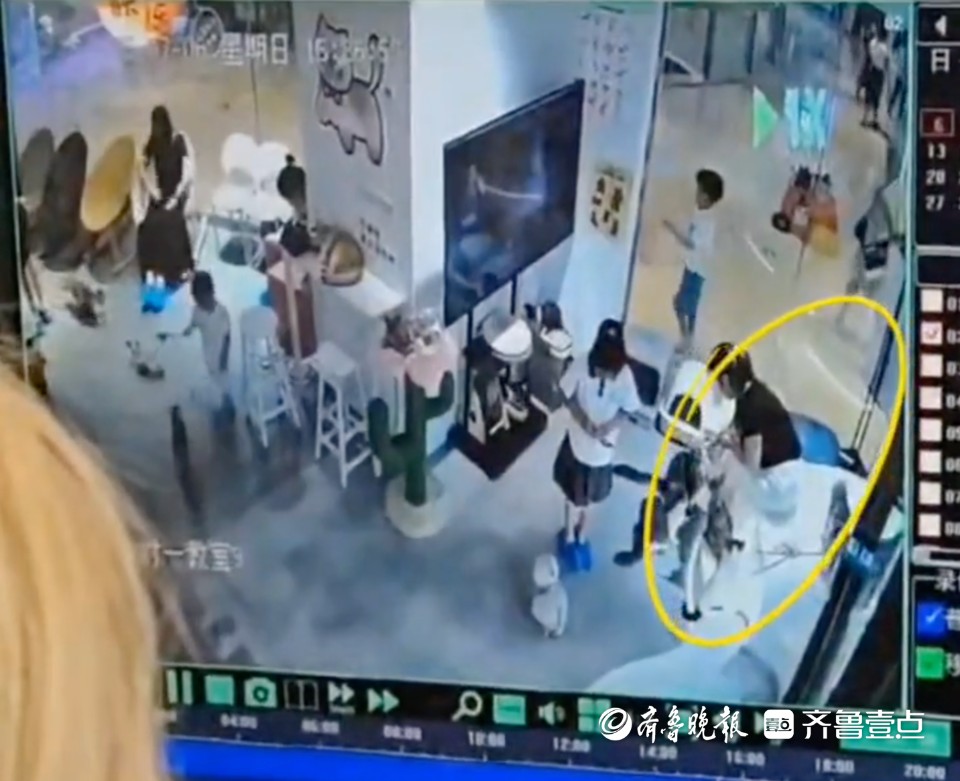 女子猫咖内撸猫被严重抓伤！赔偿数额未达成一致