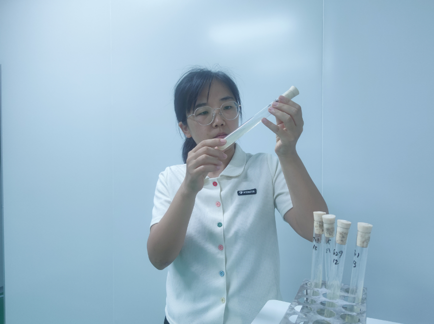 90后新农人张秀停：专研食用菌研发，让农户享受科技带来的福利