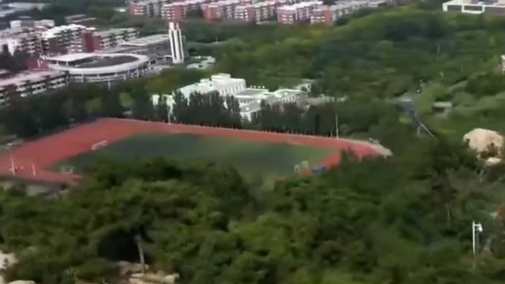 果然视频｜当AI成为“学伴”：大学生与人工智能的依赖与博弈
