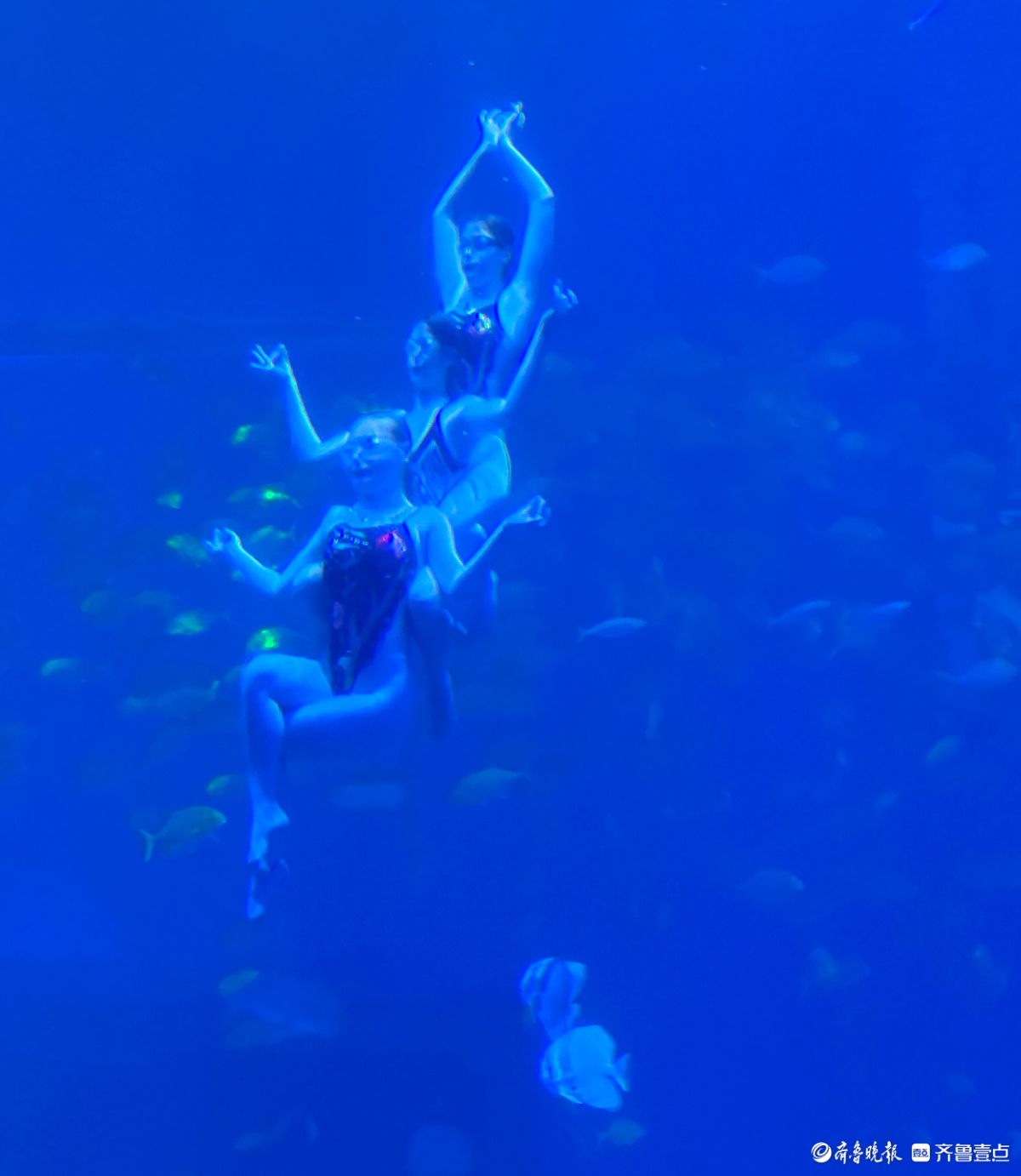 日照海洋公园，精彩的美人鱼表演