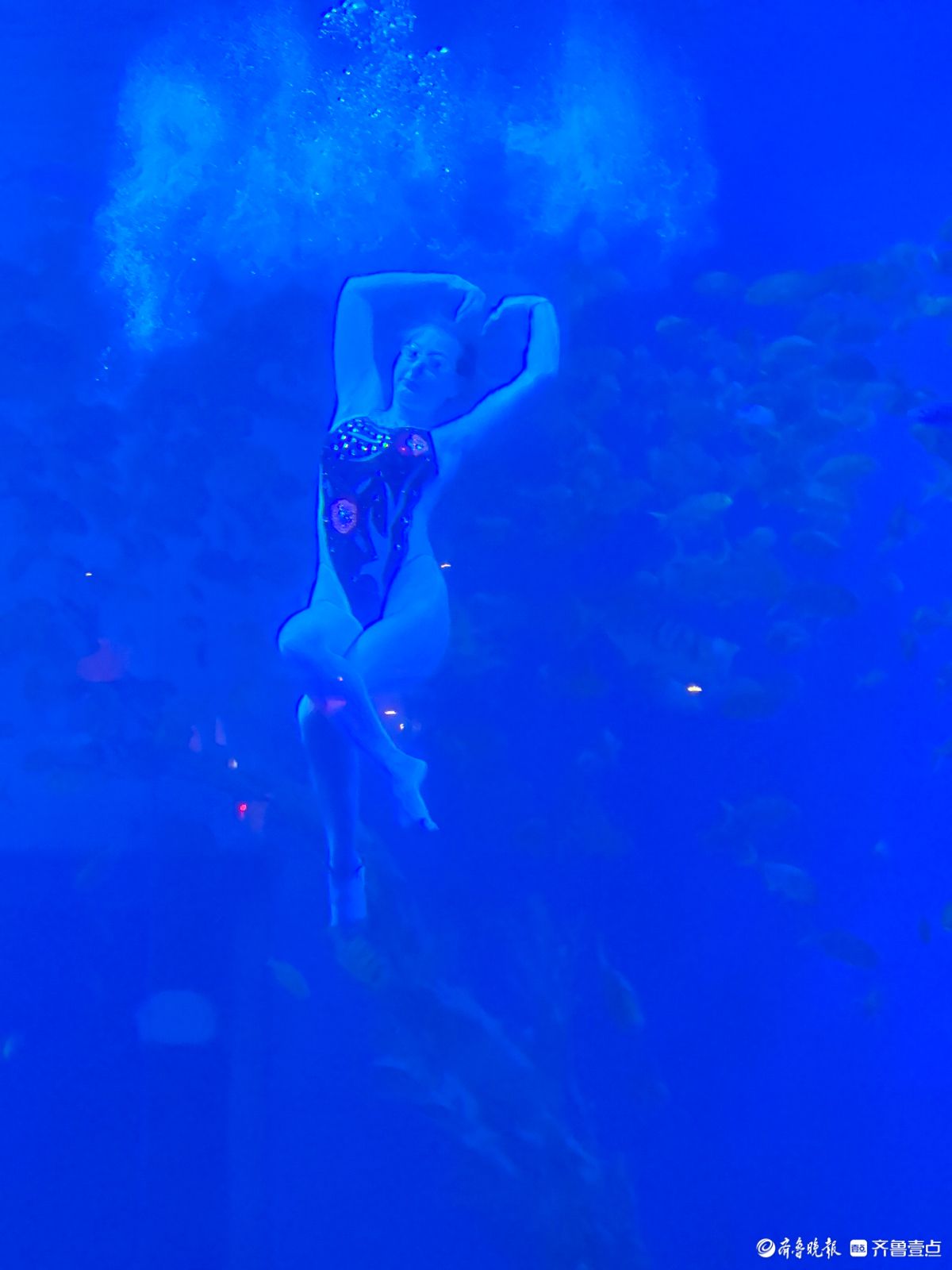 日照海洋公园，精彩的美人鱼表演